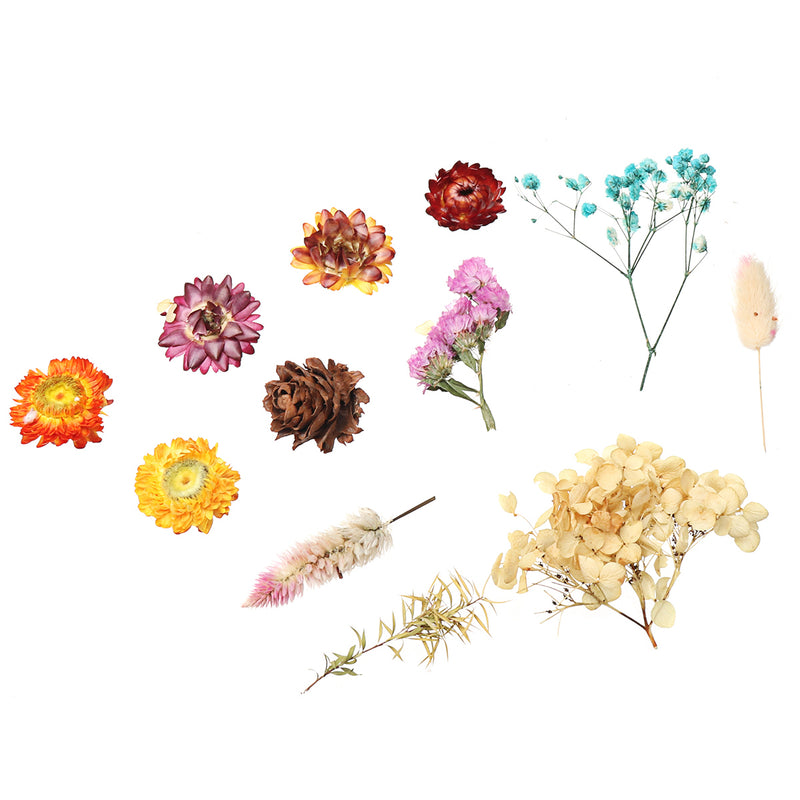 1 Box Real Dried Flower Plants Aromatherapy Candle Soap Flower Epoxy Resin Pendant Necklace Jewelry Making Craft DIY Accessories